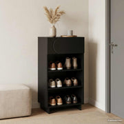 Schoenenkast 48x38x87,5 cm bewerkt hout zwart