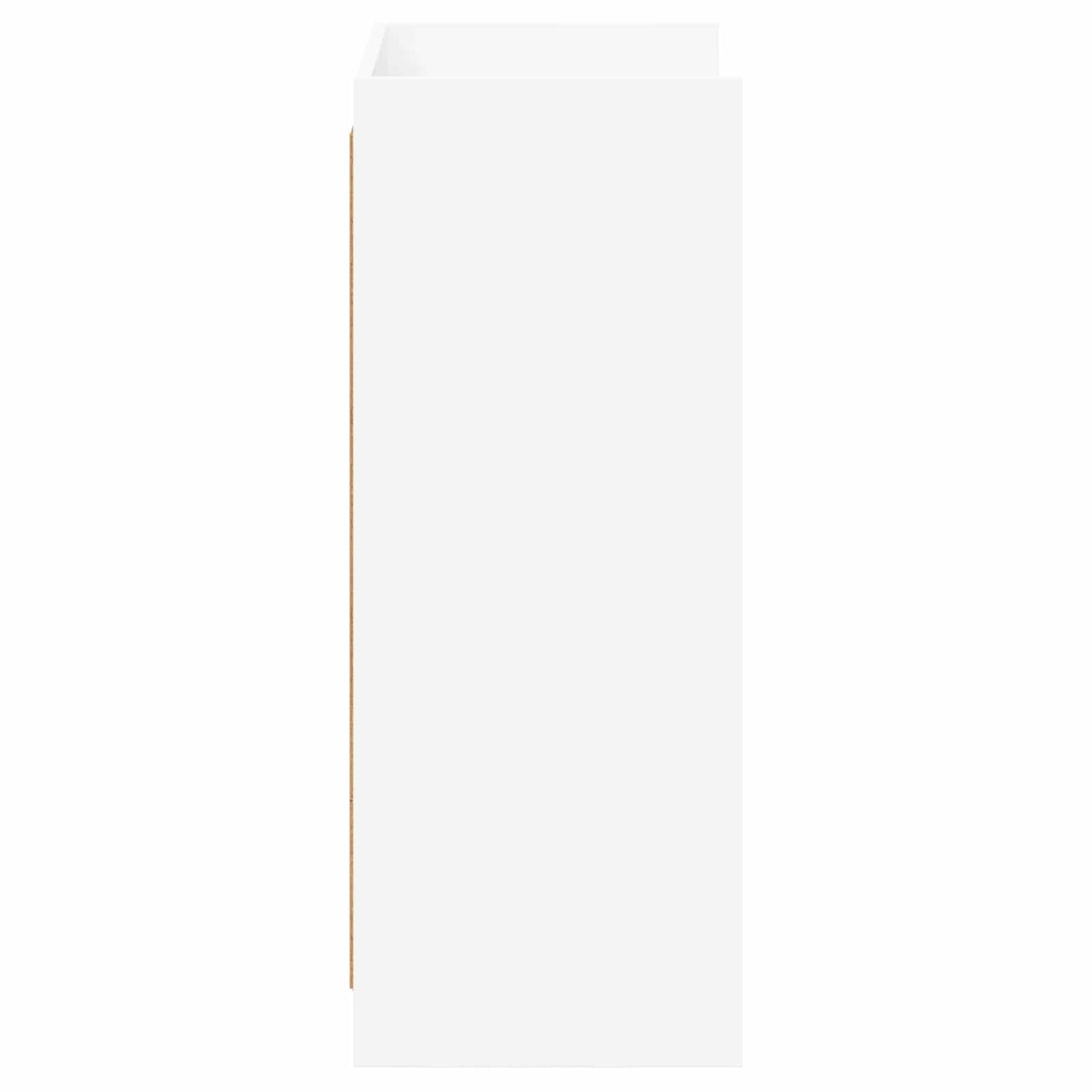Schoenenkast met opslag Wit 48 x 36 x 92 cm Bewerkt hout