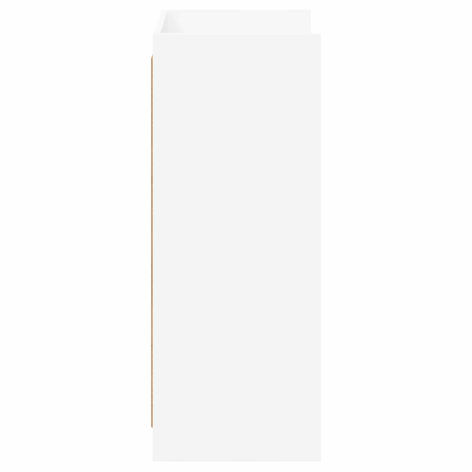 Schoenenkast met opslag Wit 48 x 36 x 92 cm Bewerkt hout