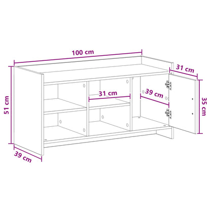 Schoenenkast Grijs Sonoma 100 x 39,5 x 51 cm Bewerkt hout