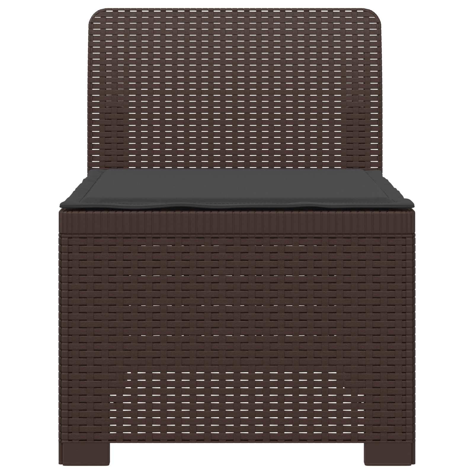 Eénpersoons Tuinbank met Kussen Rattan Look PP Bruin