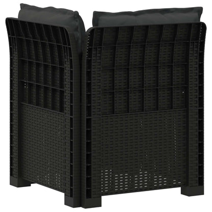 Eénpersoons Tuinbank met Kussens Rattan Look PP Antraciet