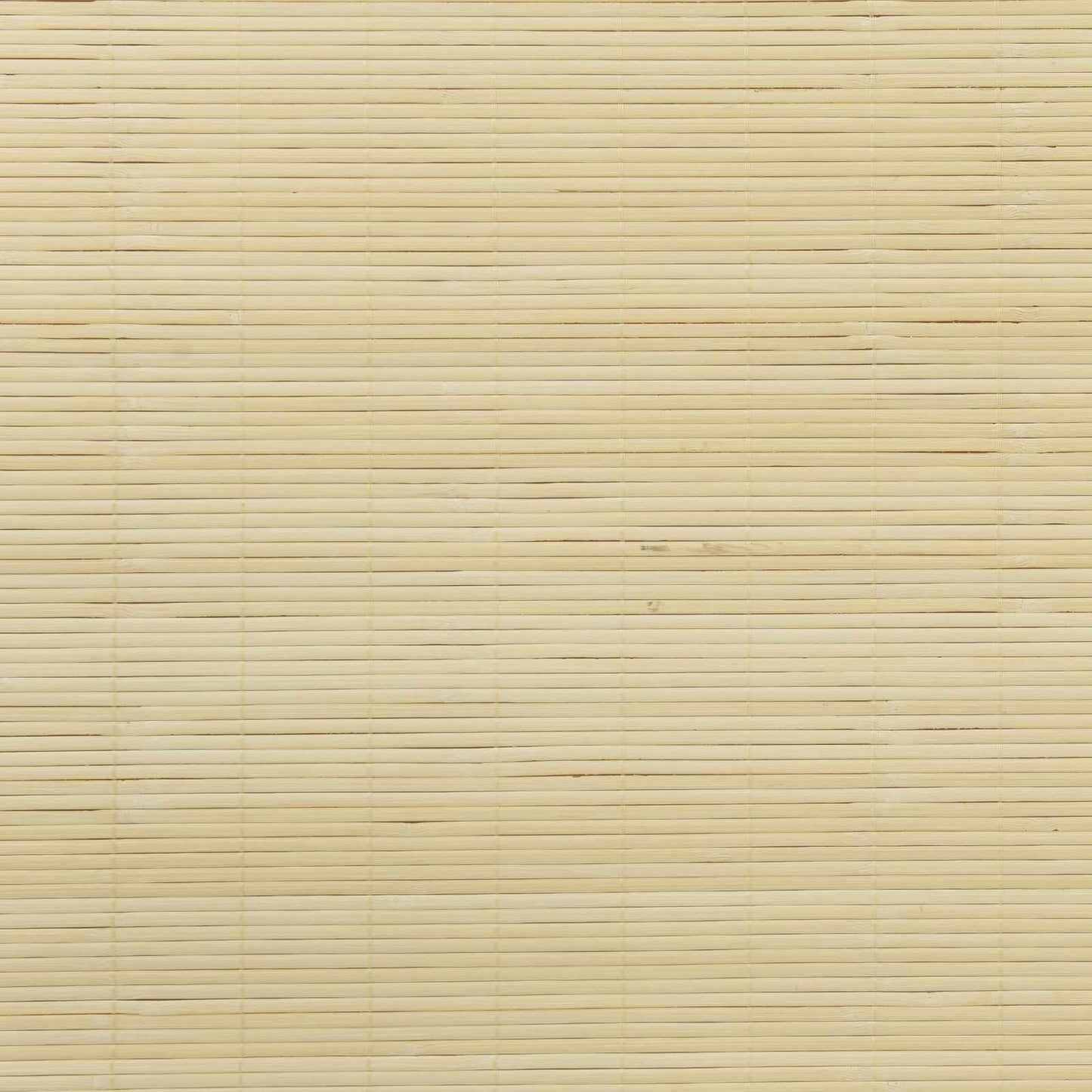 Rolgordijn Naturel 40 x 220 cm Bamboe