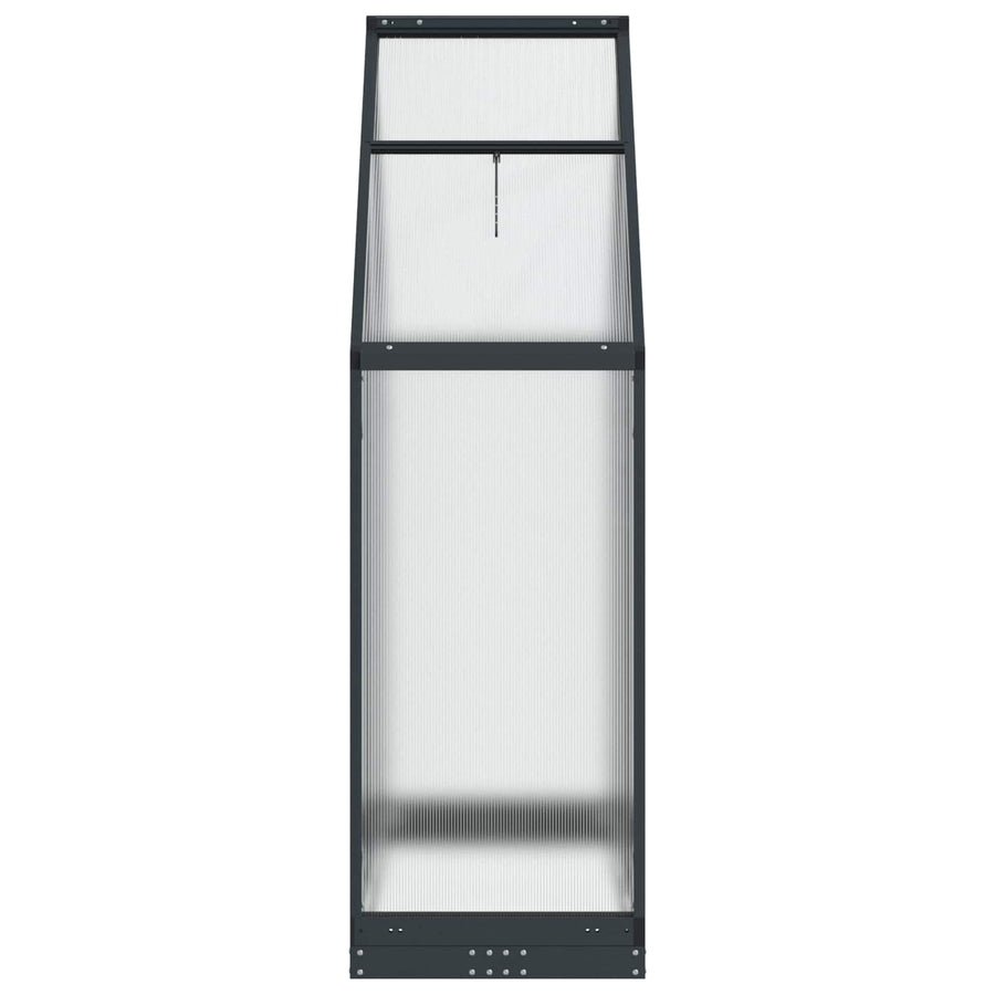 Tuin Serre met de deur Antracietkleurig 183,5 x 63,5 x 207 cm