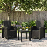 Ligstoelen rietenlook 2 stuks antraciet PP