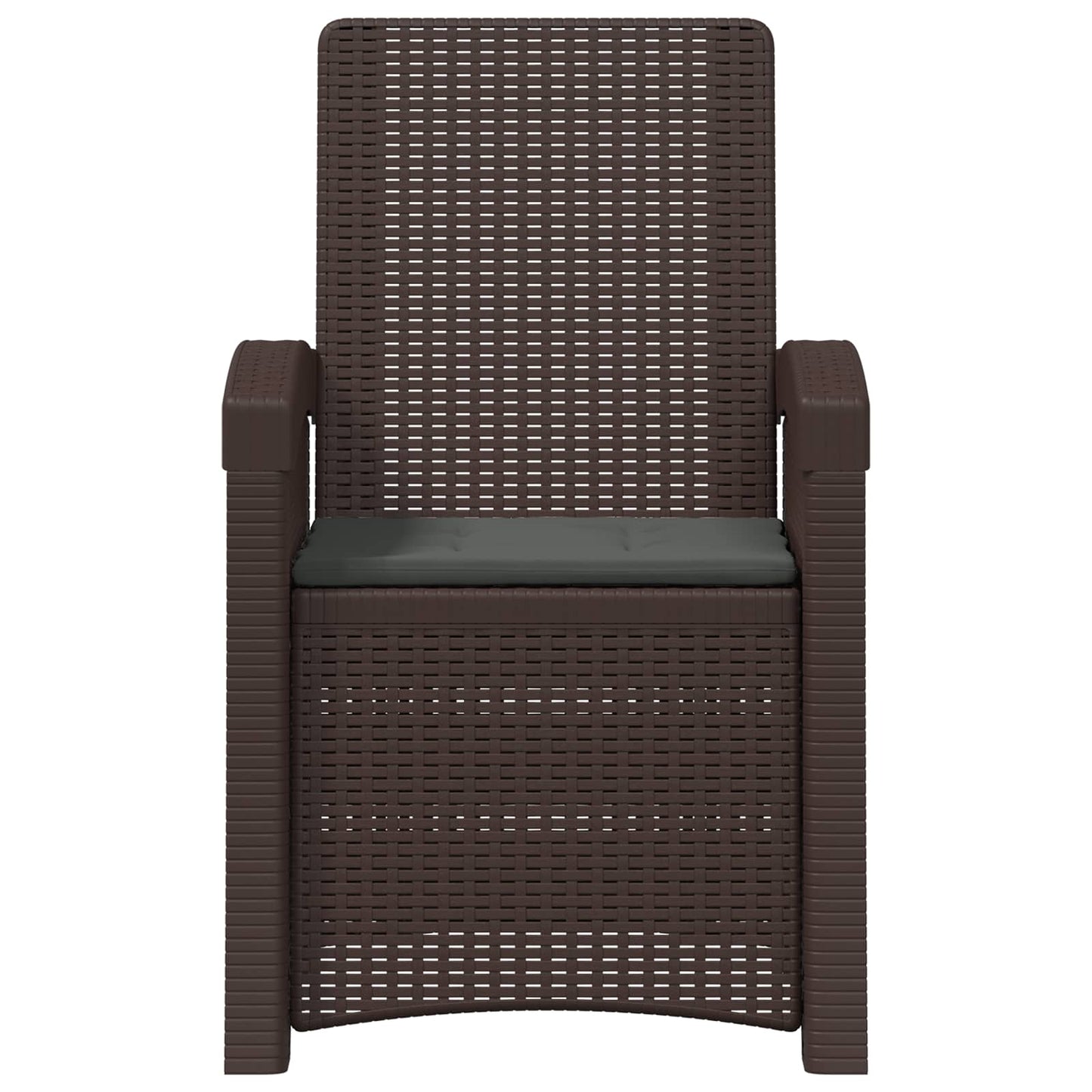 Ligstoel in rietenlook 2 pcs Bruin en antracietkleurig PP