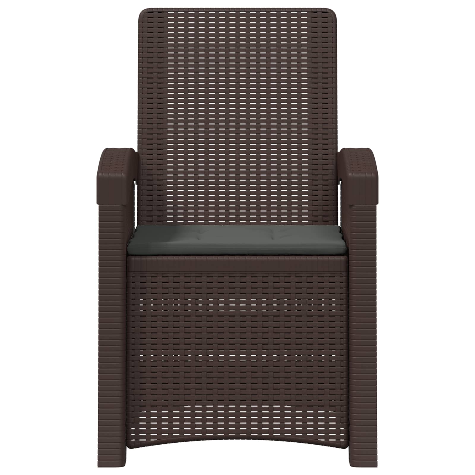 Ligstoel in rietenlook 2 pcs Bruin en antracietkleurig PP