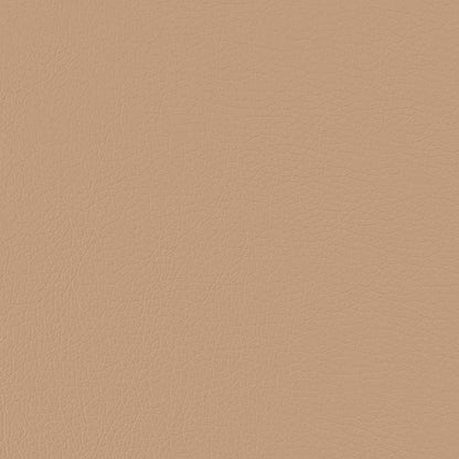 Bankstel 2 pcs Cappuccino Kunstleer