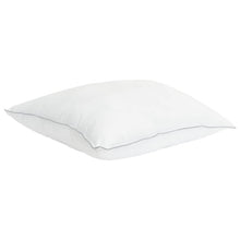 Hoofdkussen 2 pcs Wit 50 x 50 cm Bamboevezel