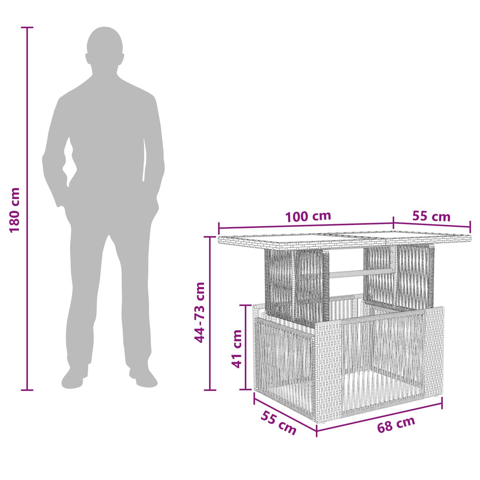Tuinstafel Zwart 100 x 55 x 37 cm PE Rattan en Glas