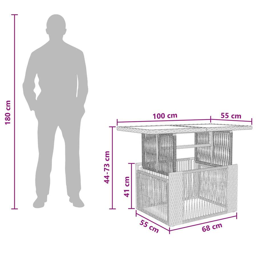 Tuinstafel Zwart 100 x 55 x 37 cm PE Rattan en Glas