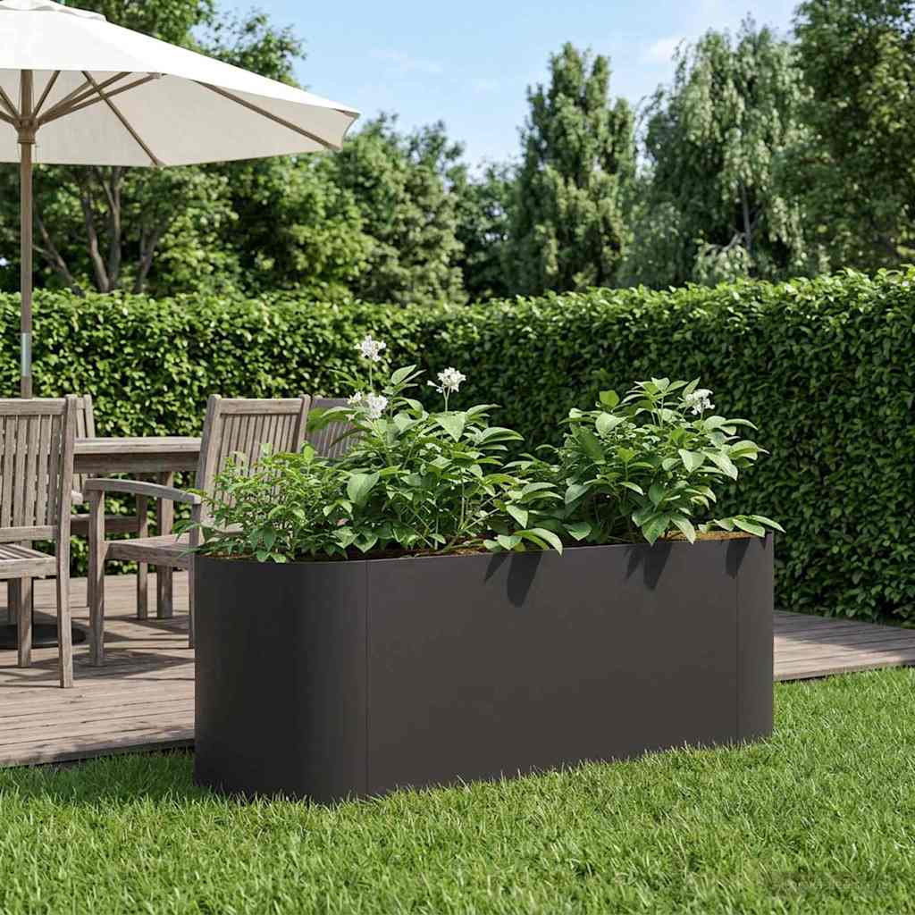 Verhoogd Tuinbed Zwart 120 x 40 x 40 cm Staal