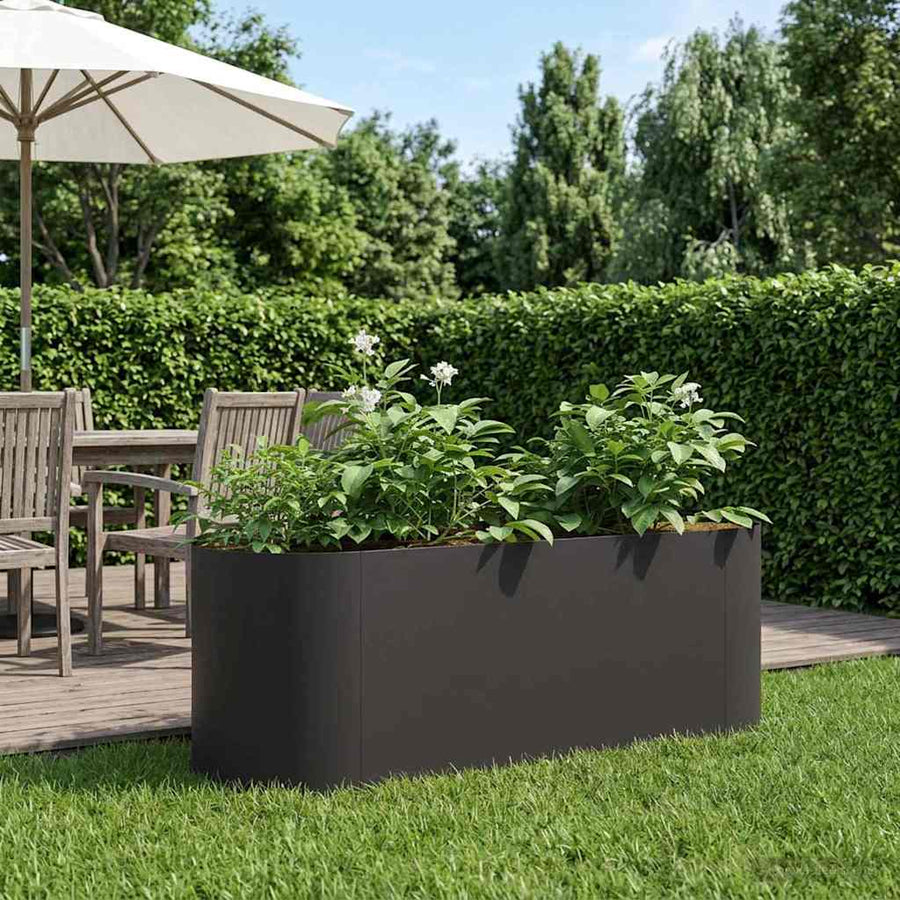 Verhoogd Tuinbed Zwart 120 x 40 x 40 cm Staal