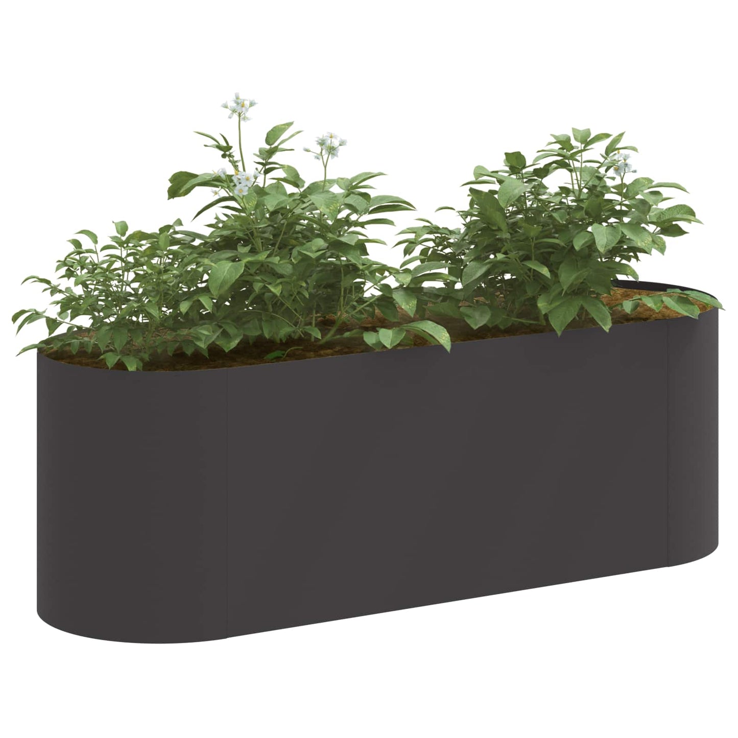 Verhoogd Tuinbed Zwart 120 x 40 x 40 cm Staal