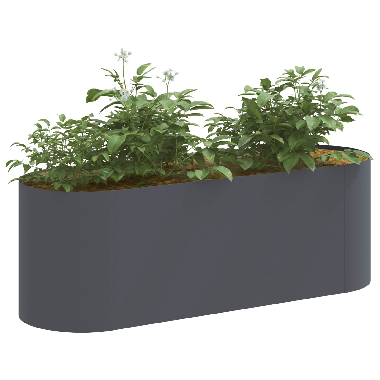 Verhoogd Tuinbed Antracietkleurig 120 x 40 x 40 cm