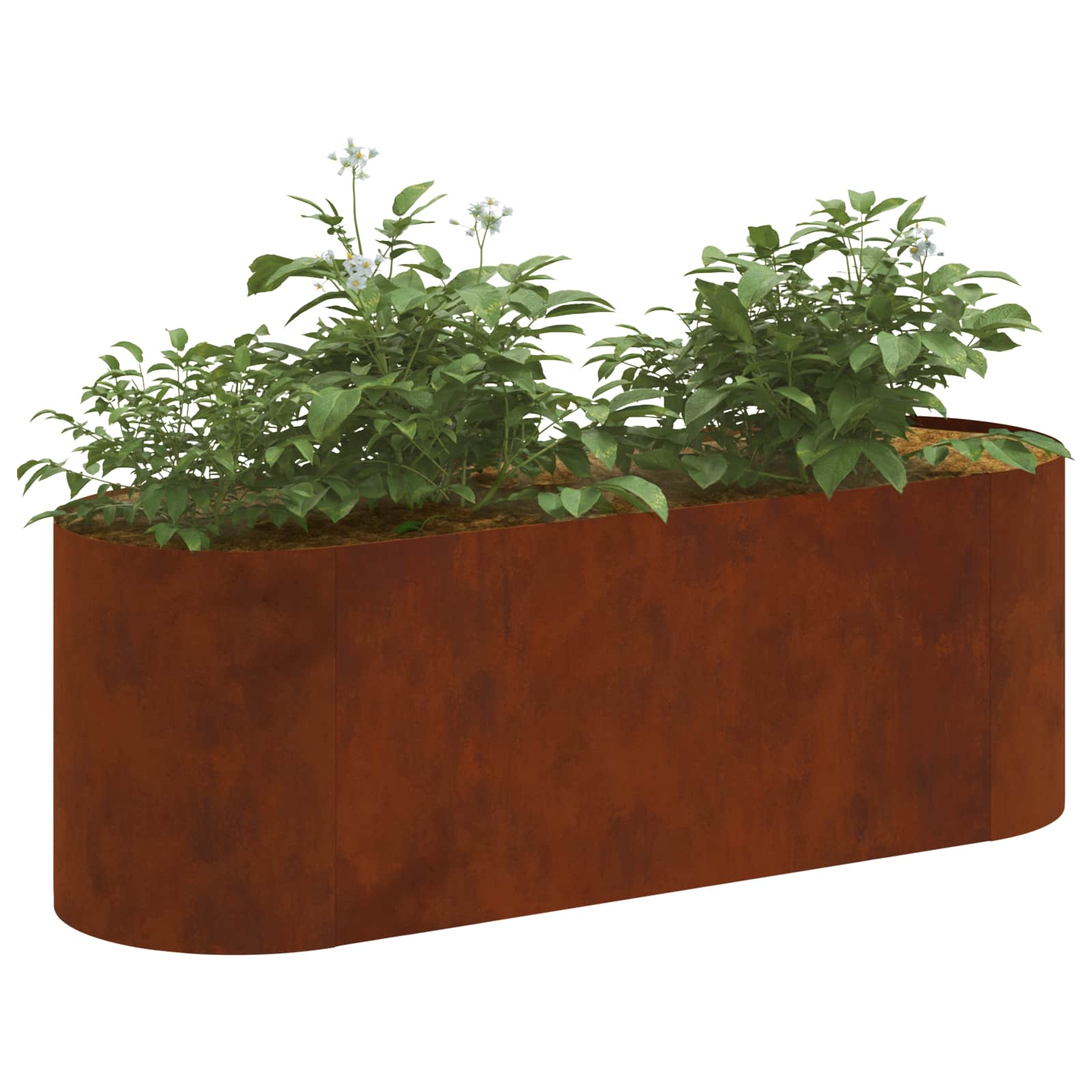 Verhoogd Tuinbed Cortenstaal 120 x 40 x 40 cm