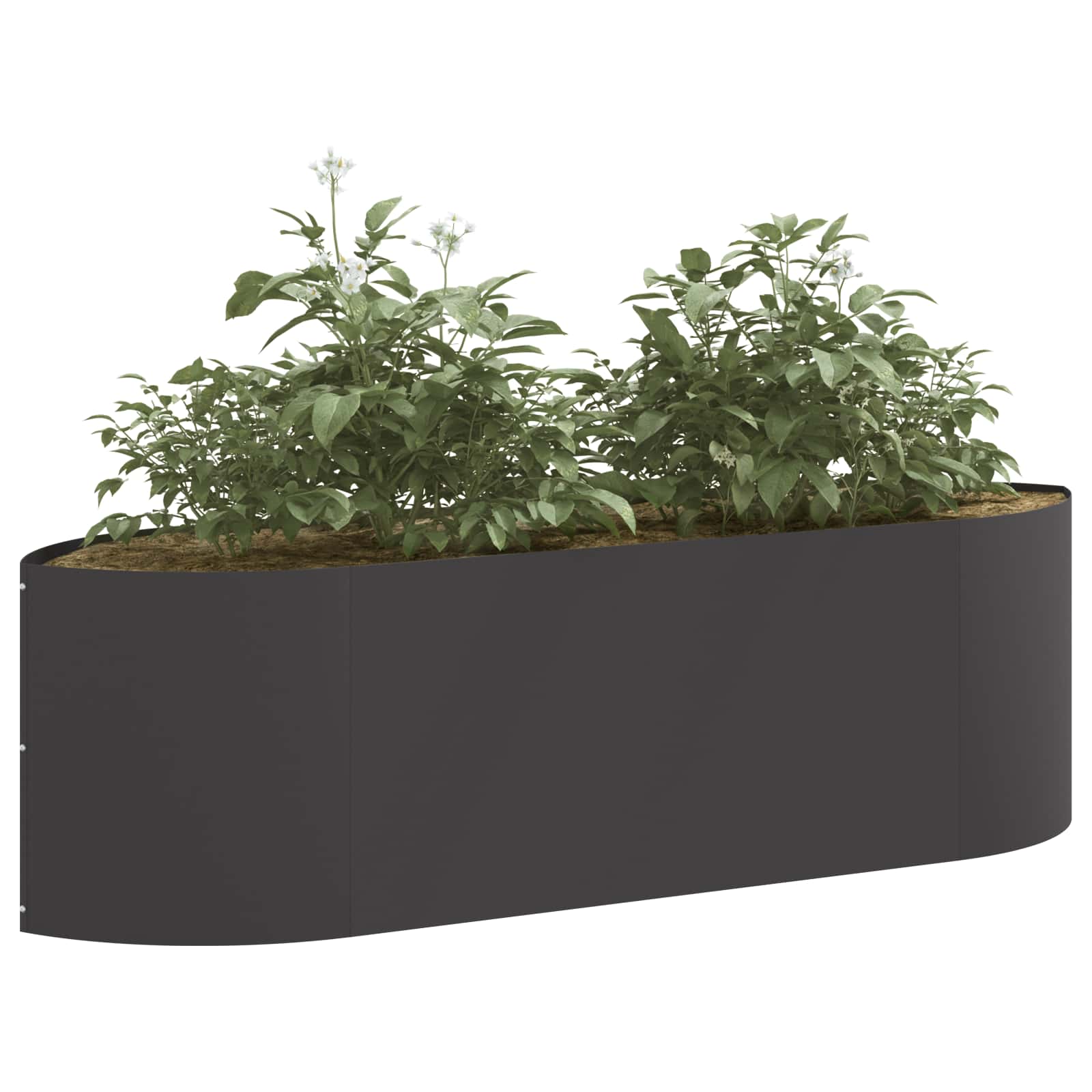 Verhoogd Tuinbed Zwart 140 x 40 x 40 cm Staal