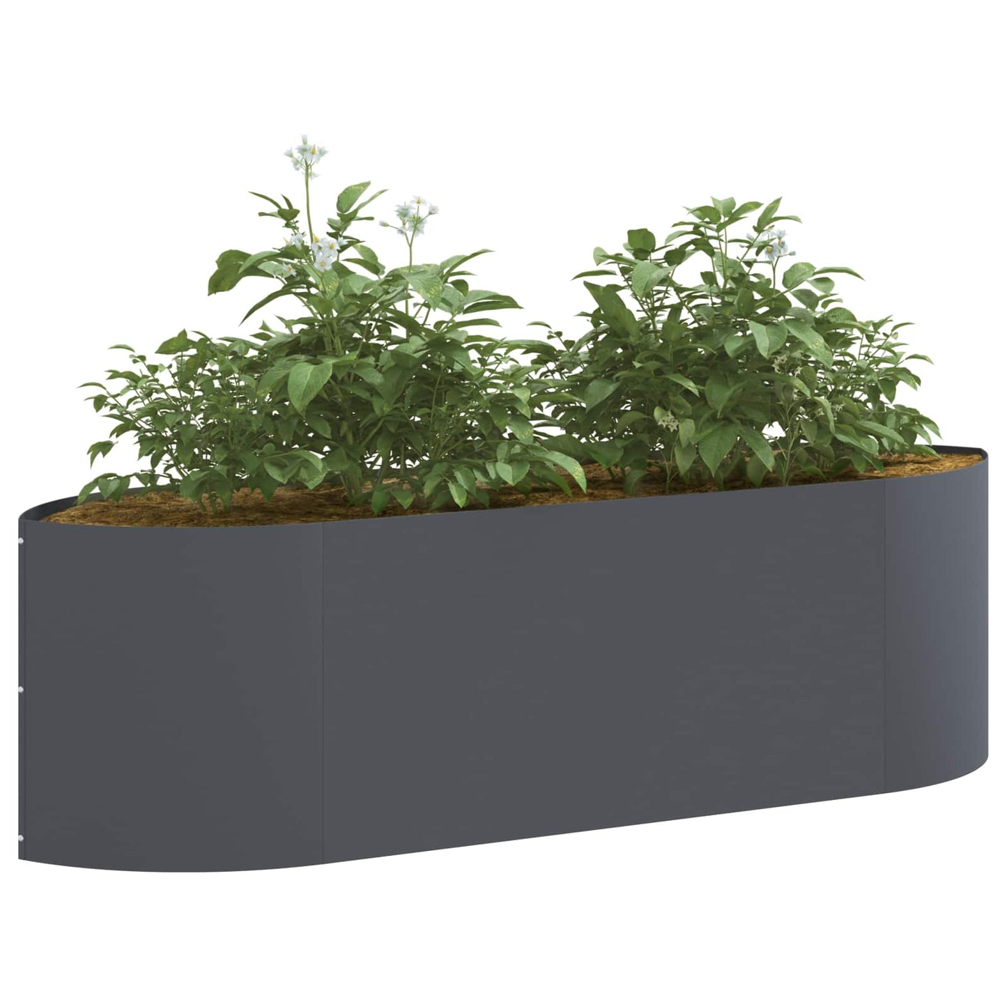 Verhoogd Tuinbed Antracietkleurig 140 x 40 x 40 cm Staal