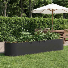 Verhoogd Tuinbed Zwart 220 x 40 x 40 cm Staal