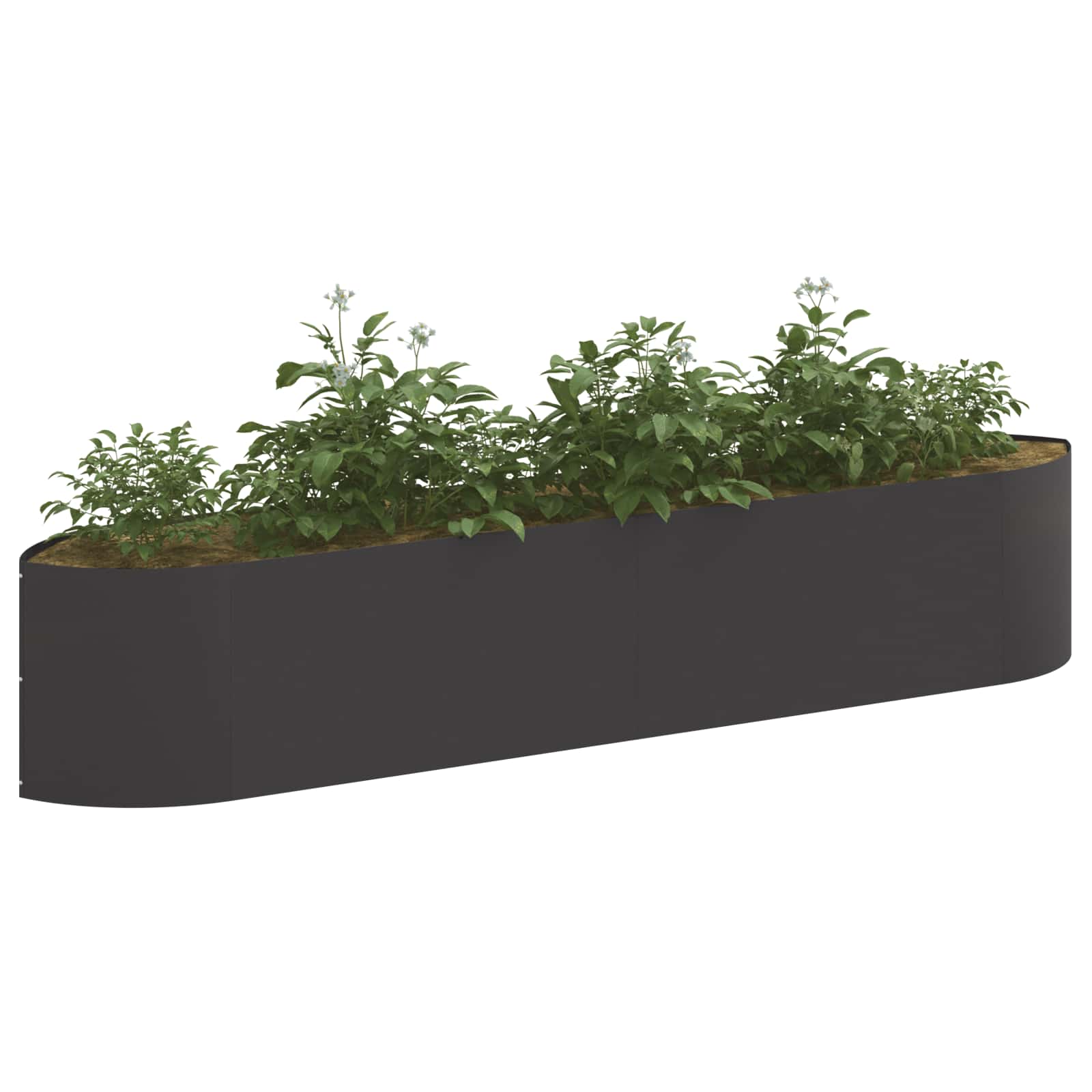 Verhoogd Tuinbed Zwart 220 x 40 x 40 cm Staal