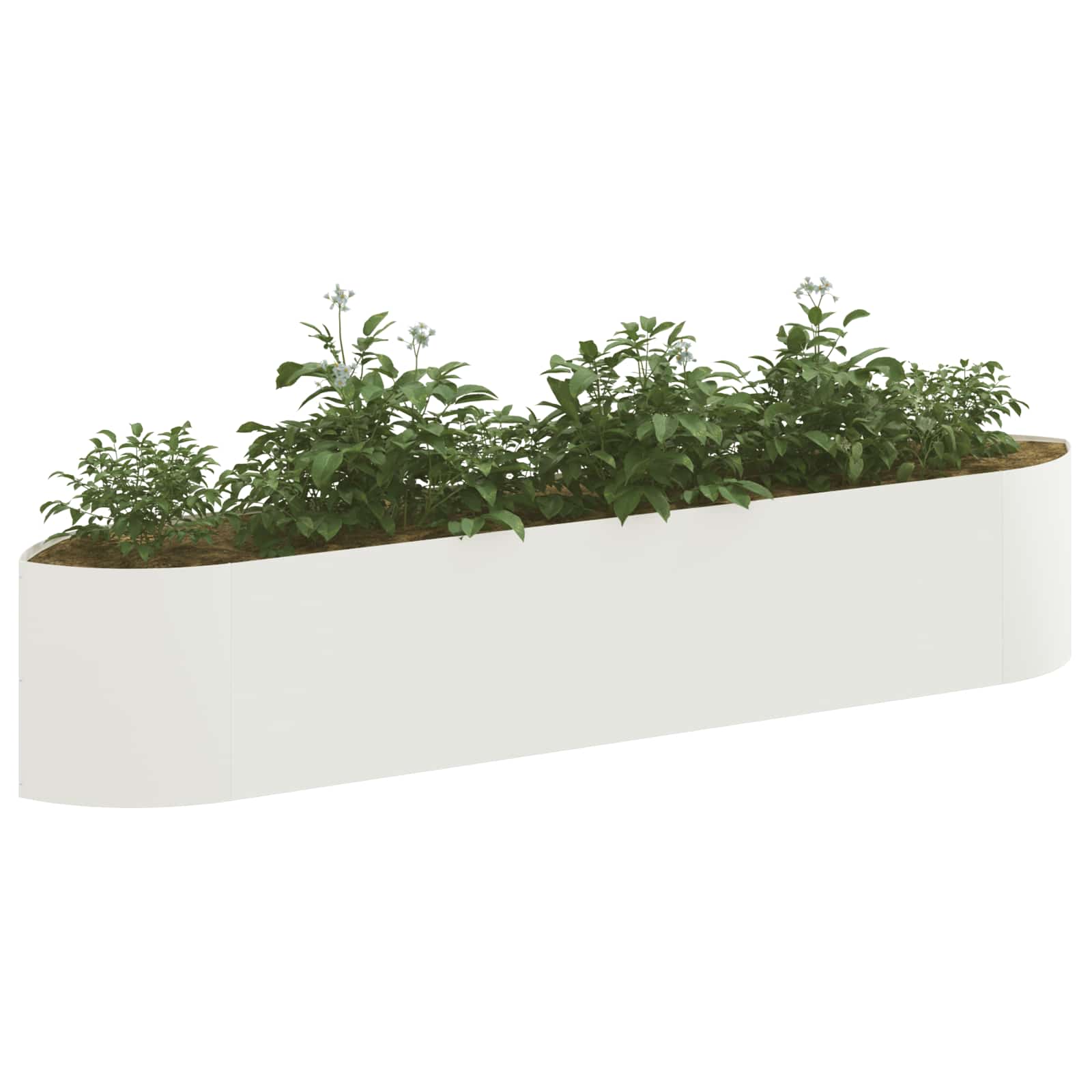 Verhoogd Tuinbed Wit 220 x 40 x 40 cm Staal