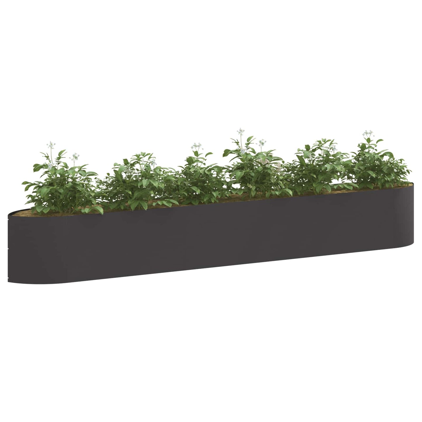 Verhoogd Tuinbed Zwart 300 x 40 x 40 cm Staal