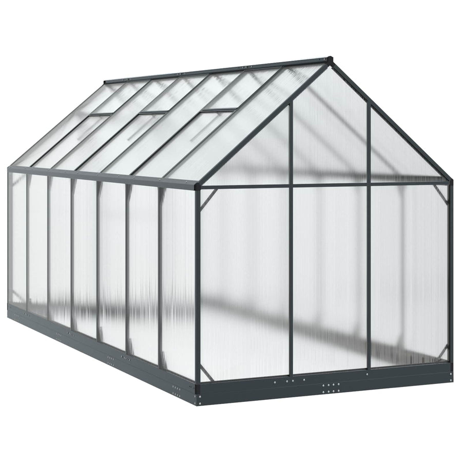 Tuin Serre met de deur Antracietkleurig 183,5 x 423,5 x 207 cm