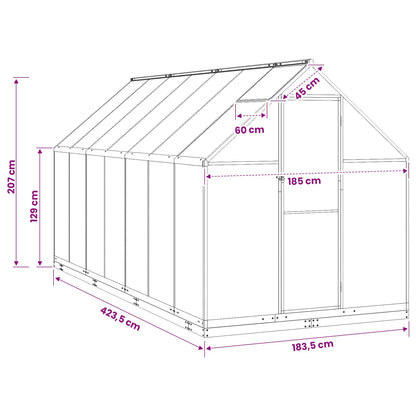 Tuin Serre met de deur Antracietkleurig 183,5 x 423,5 x 207 cm