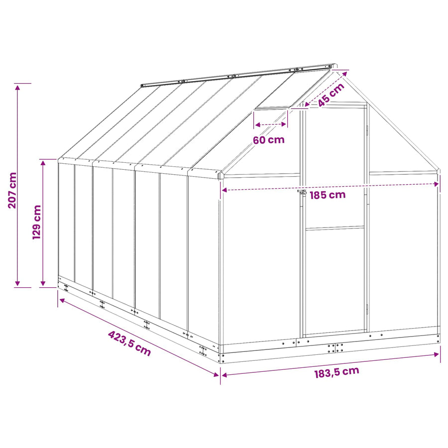 Tuin Serre met de deur Antracietkleurig 183,5 x 423,5 x 207 cm