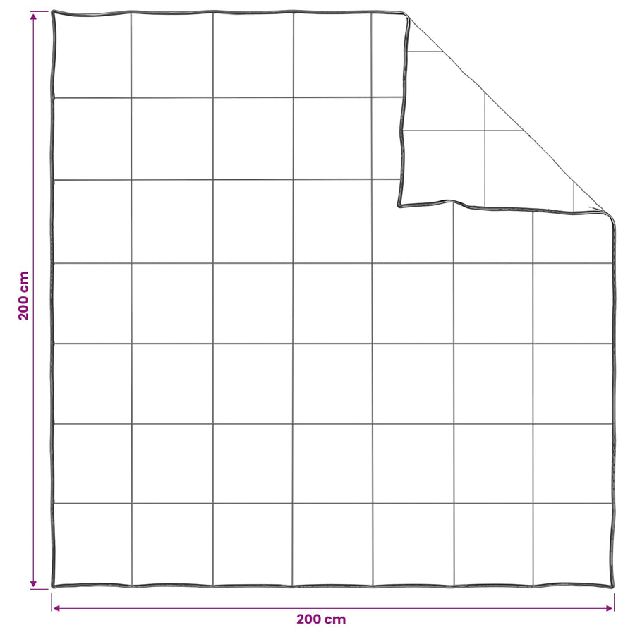 Dekbedset 2 st 200 x 200 cm 250 gsm Natuurlijke Kapok Beige