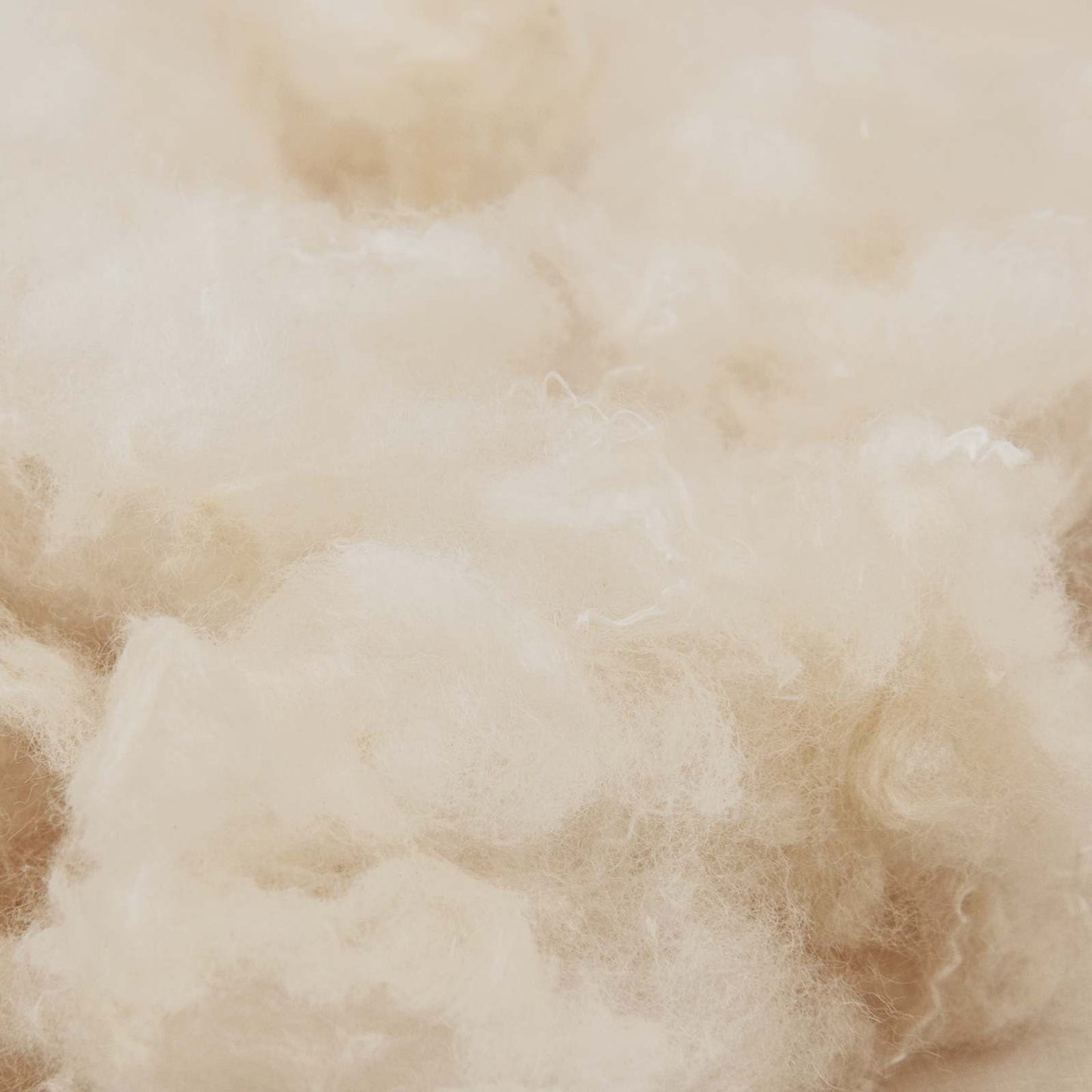 Dekbedset 2 st 200 x 200 cm 250 gsm Natuurlijke Kapok Beige