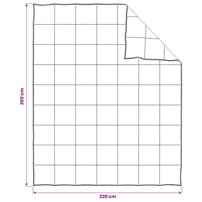Dekbedset 2 st 260 x 220 cm 250 gsm Natuurlijke Kapok Beige