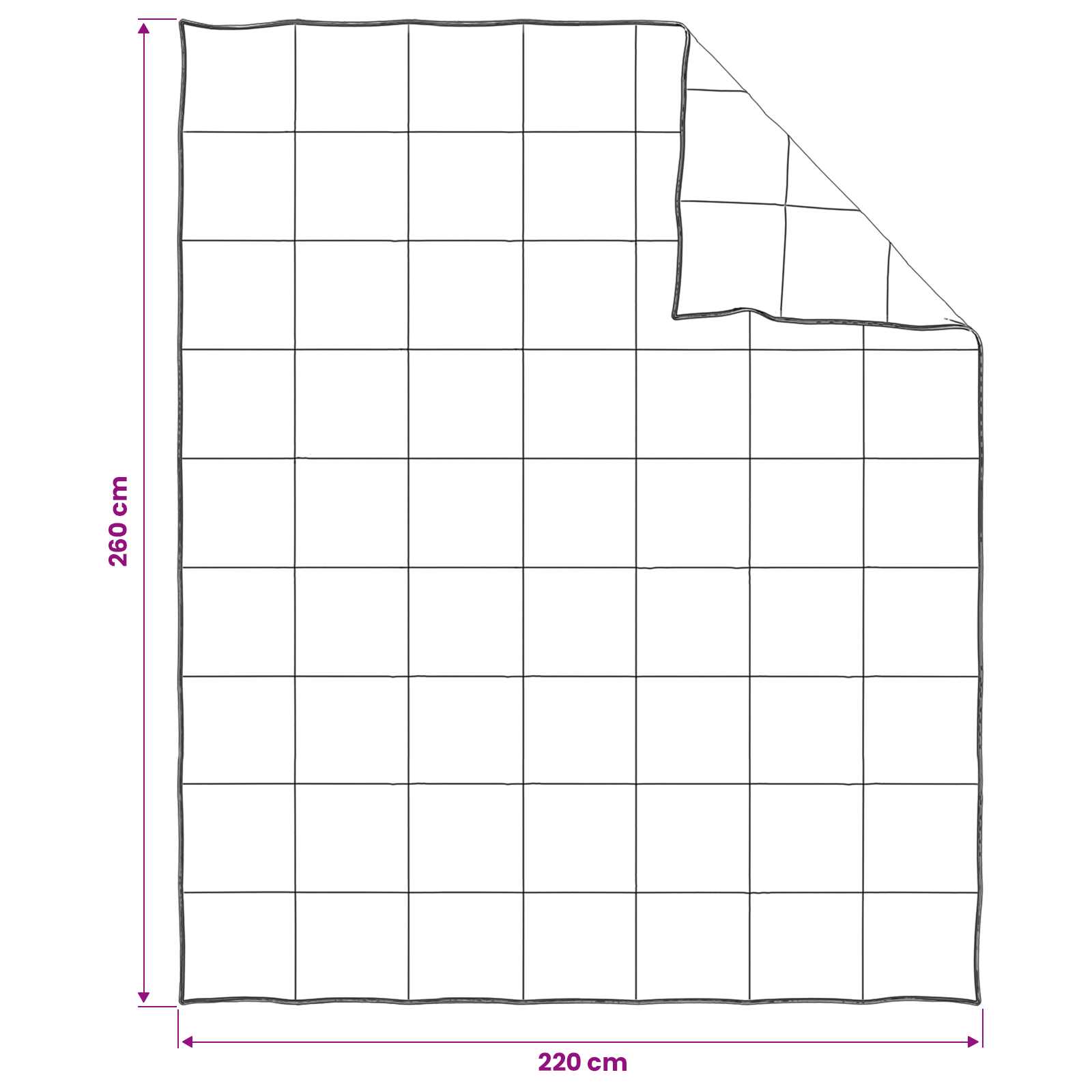 Dekbedset 2 st 260 x 220 cm 250 gsm Natuurlijke Kapok Beige