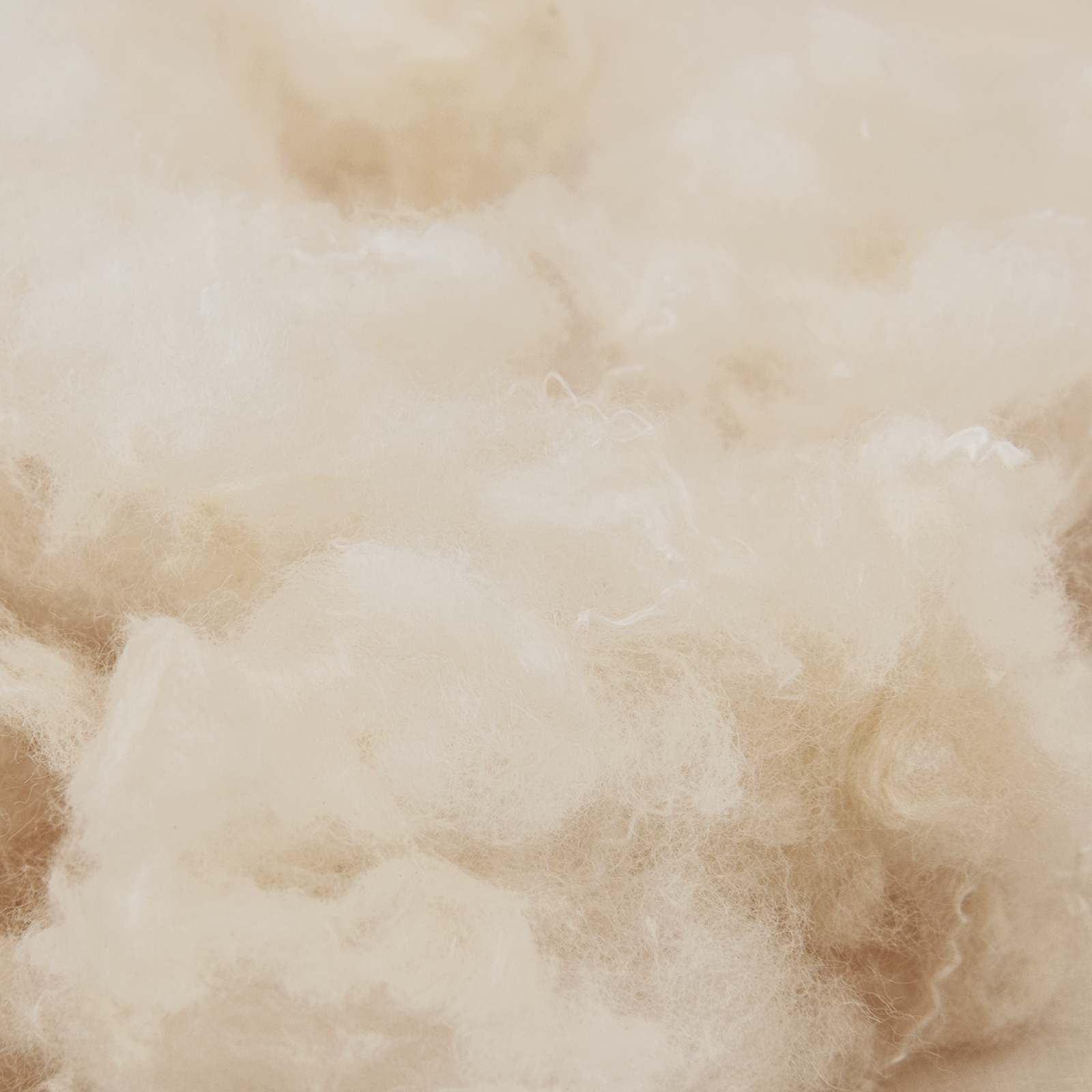 Dekbedset 2 st 200 x 220 cm Kapok en Polyester Beige