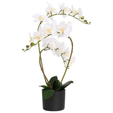 Kunstorchidee met pot Wit 45 x 15 x 65 cm Stof, PE en PEVA