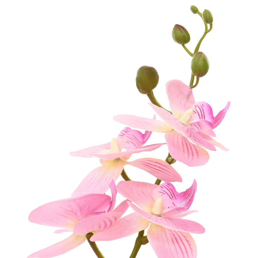 Kunstorchidee met pot Roze 45 x 15 x 65 cm Stof, PE en PEVA