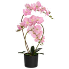 Artificial Orchid with Pot Pink 45 x 15 x 65 cm Fabric, PE and PEVA