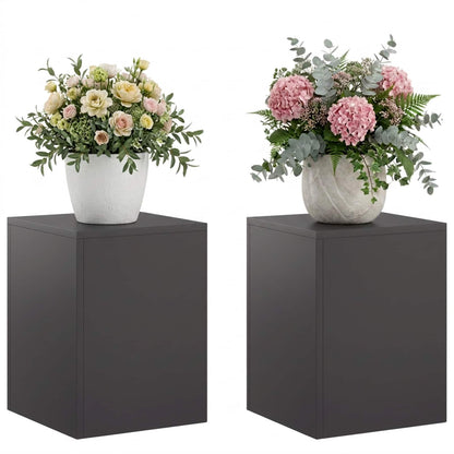 Plantenstandaard 2 pcs Zwart 30 x 30 x 40 cm Staal