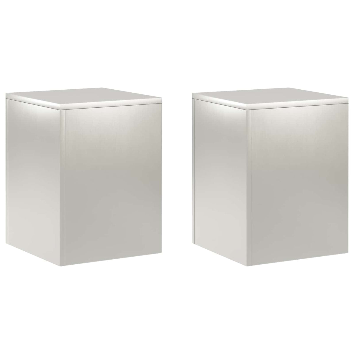 Plantenstandaard 2 pcs zilver 30 x 30 x 40 cm Staal