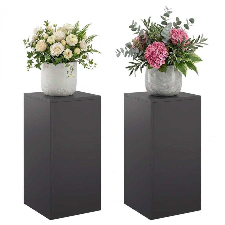 Plantenstandaard 2 pcs Zwart 30 x 30 x 60 cm Staal