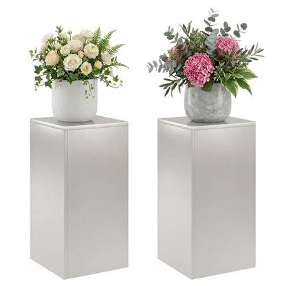 Plantenstandaard 2 pcs zilver 30 x 30 x 60 cm Staal