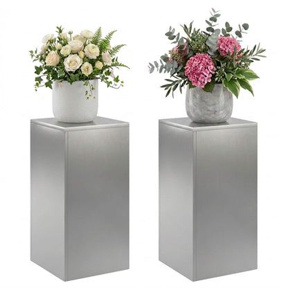 Plantenstandaard 2 pcs zilver 30 x 30 x 60 cm Roestvrij staal