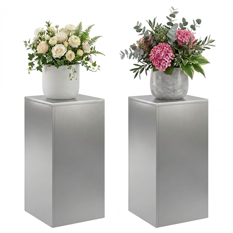 Plantenstandaard 2 pcs zilver 30 x 30 x 60 cm Roestvrij staal
