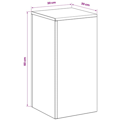 Plantenstandaard 2 pcs zilver 30 x 30 x 60 cm Roestvrij staal