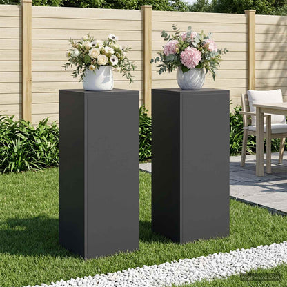 Plantenstandaard 2 pcs Zwart 30 x 30 x 80 cm Staal
