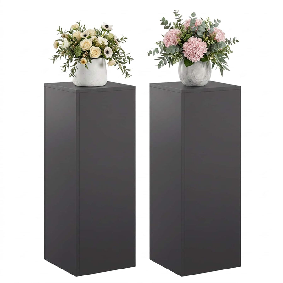 Plantenstandaard 2 pcs Zwart 30 x 30 x 80 cm Staal