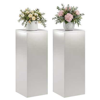 Plantenstandaard 2 pcs zilver 30 x 30 x 80 cm Staal