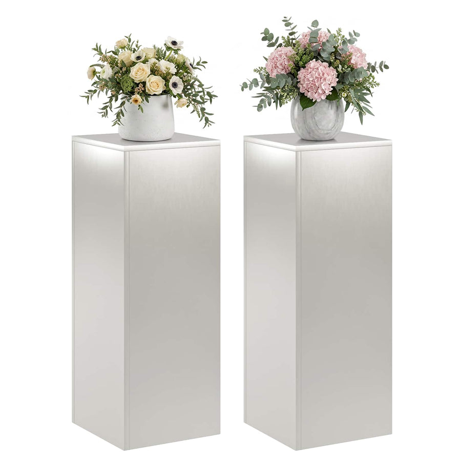 Plantenstandaard 2 pcs zilver 30 x 30 x 80 cm Staal