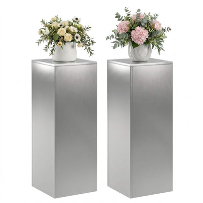 Plantenstandaard 2 pcs zilver 30 x 30 x 80 cm Roestvrij staal