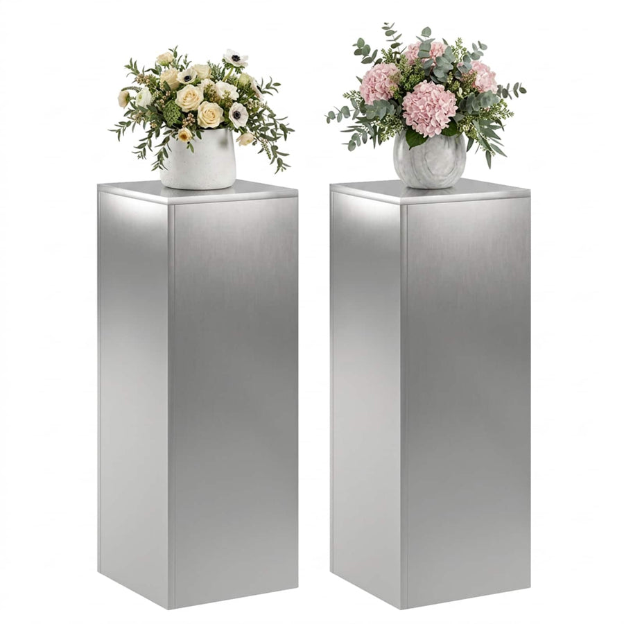 Plantenstandaard 2 pcs zilver 30 x 30 x 80 cm Roestvrij staal